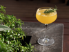Orange coloured cocktail with rosemary sprig in coupe glass against dark counter
