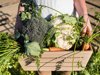 Person holding wooden crate of fresh vegetables include carrots, broccoli and cauliflower