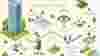 The Green Lifestyle Map for guests at JW Marriott Hotel Hong Kong