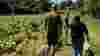 People walking around Pasture's Buttercliffe Farm on a sunny day