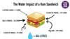 Infographic showing the water footprint of a ham salad sandwich