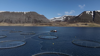 Aerial shot of a large fish farm with mountains in the background