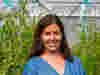 Hannah Macey headshot against leafy background