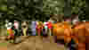 A group of people on a sunny farm with some brown cows, all walking towards the camera