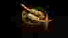 Two wooden spoonfuls of beautiful food in a wooden bowl against a dark background