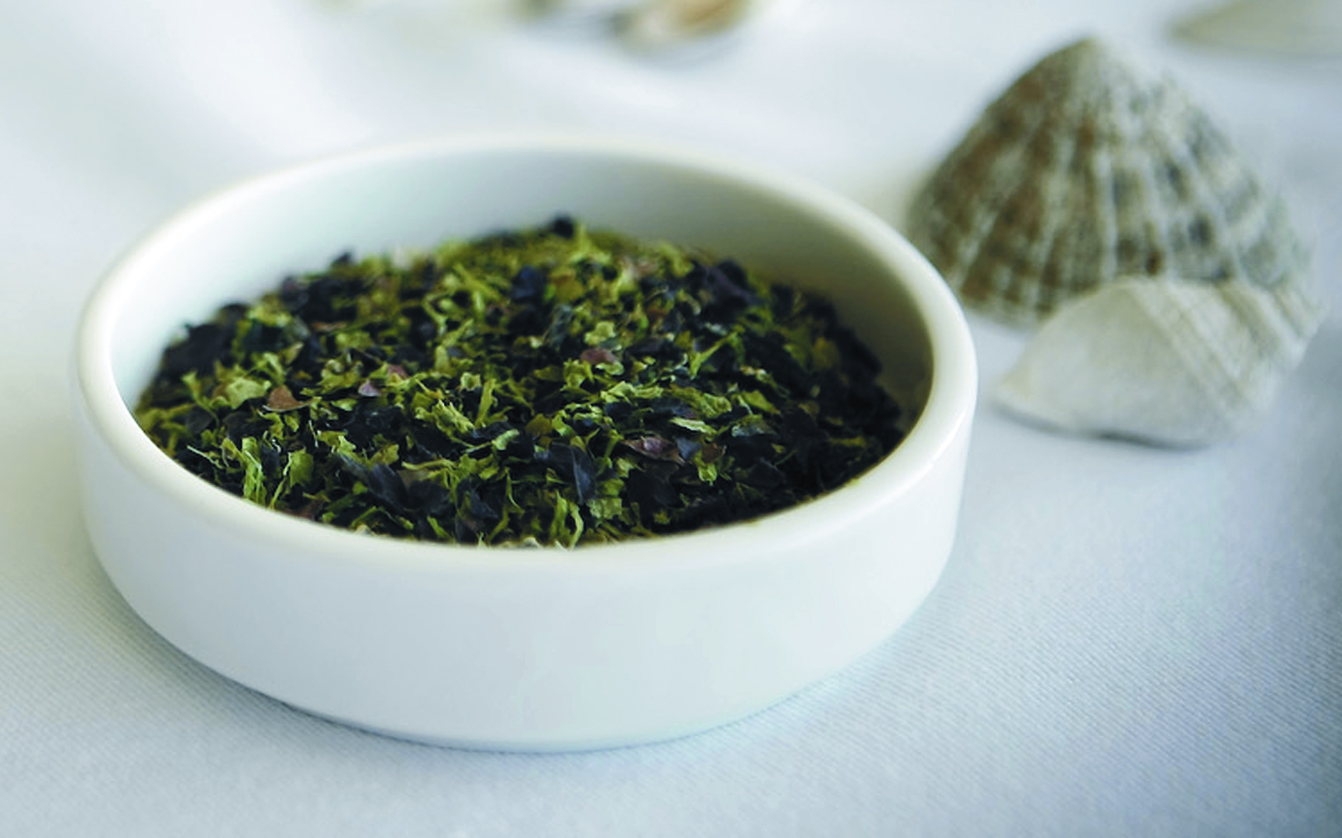‘It's a Revolution’: How to Put Seaweed on the Menu